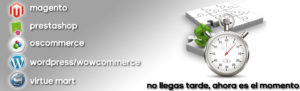 Especialistas en tiendas online